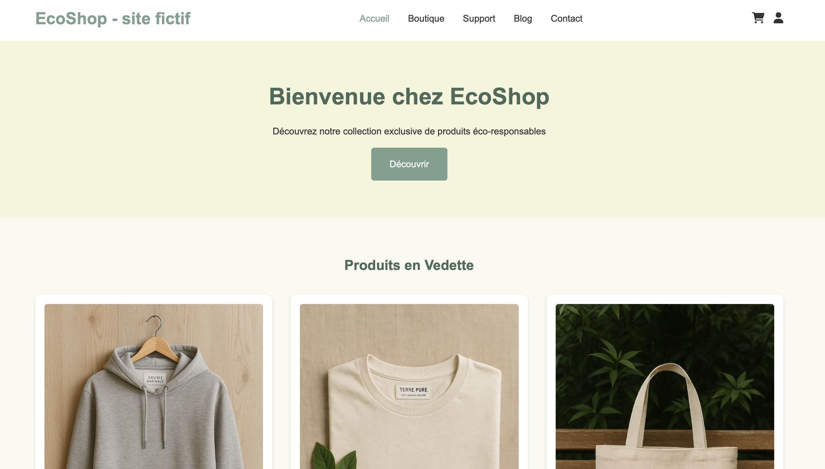Capture d'écran de la page d'accueil EcoShop